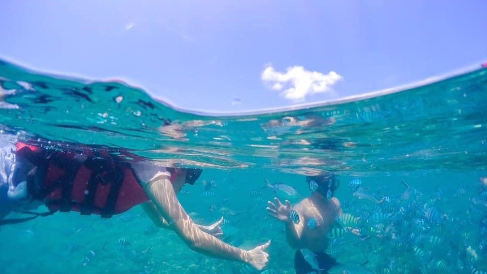 Koh Tao & Koh Nangyuan One-day Trip — photo 7